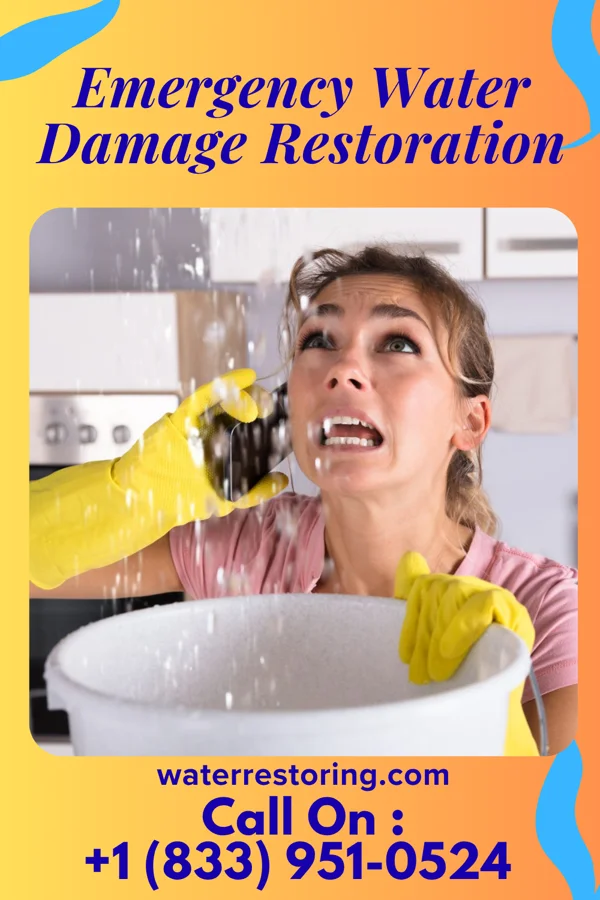 Emergency Water Damage Restoration in Monon, IN