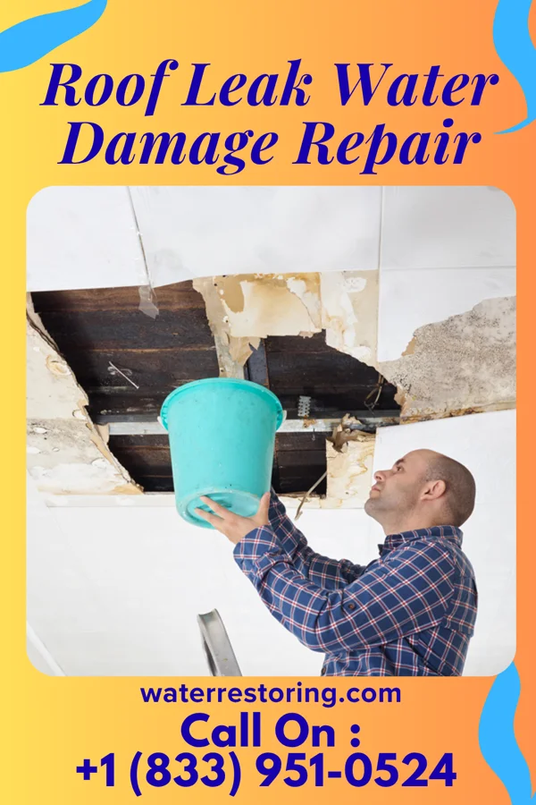 Roof Leak Water Damage Repair in Monon, IN