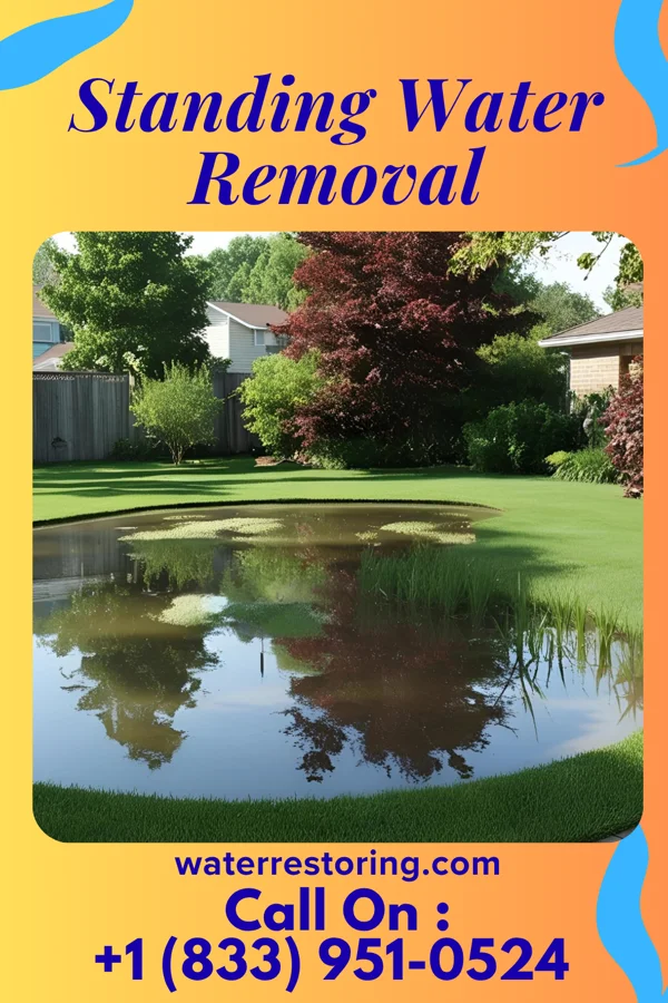 Standing Water Removal in Monon, IN